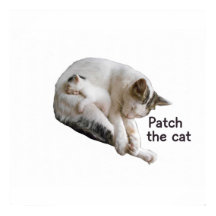 PATCH DE KAT EN HAAR KITTEN