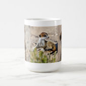 Patch Meerkat Mok (Center)