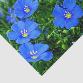 Patch of Blue Flax Linum Flowers-TISSUE WRAP PAPER Tissuepapier (Detail)