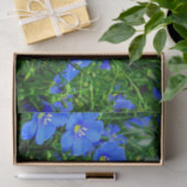Patch of Blue Flax Linum Flowers-TISSUE WRAP PAPER Tissuepapier (Geschenk)