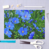 Patch of Blue Flax Linum Flowers-TISSUE WRAP PAPER Tissuepapier (Craft)