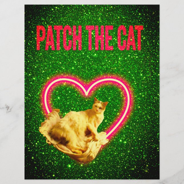 PATCH THE CAT DESIGN GLITTER AND GLAMOUR BRIEFHOOFD (Voorkant)