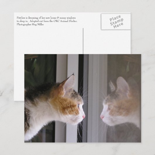 Patches Aankondigingskaart (Voorkant / Achterkant)