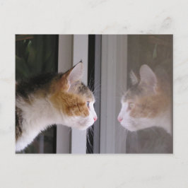 Patches Aankondigingskaart