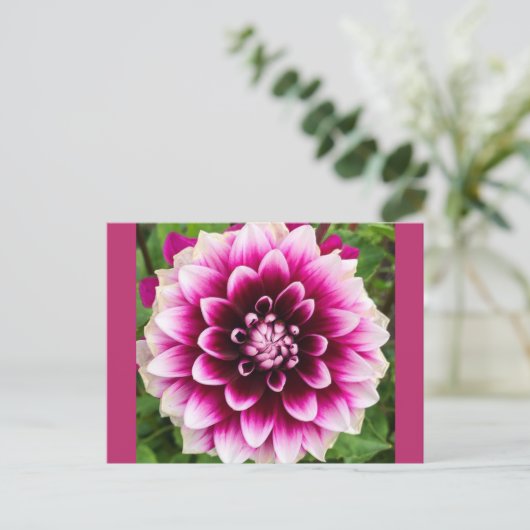 Patches Dahlia Briefkaart (Staand voorkant)