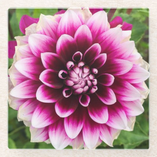Patches Dahlia Glazen Onderzetter (Voorkant)