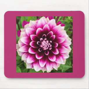 Patches Dahlia Muismat