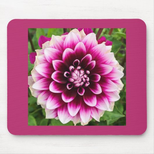 Patches Dahlia Muismat (Voorkant)