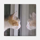 Patches Magneet (Voorkant)