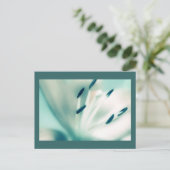 Patchouli Lily, bloem, sjabloon Briefkaarten nodig (Staand voorkant)