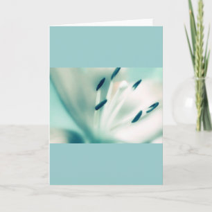Patchouli Lily, bloem, sjabloon wenskaarten