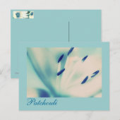Patchouli Lily Briefkaart Floral Digital Art (Voorkant / Achterkant)