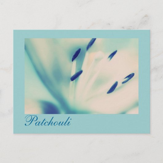 Patchouli Lily Briefkaart Floral Digital Art (Voorkant)