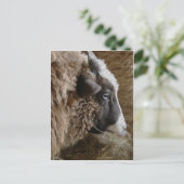 Patchwork Amy Briefkaart (Staand voorkant)