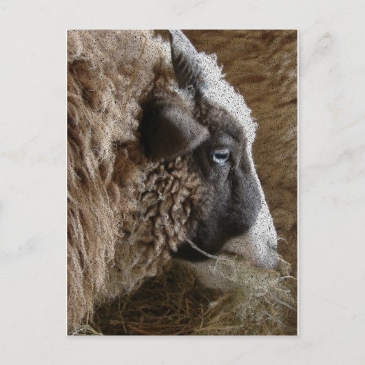 Patchwork Amy Briefkaart (Voorkant)