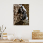 Patchwork Amy Poster (Keuken)