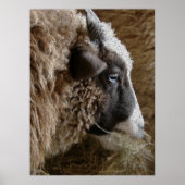 Patchwork Amy Poster (Voorkant)