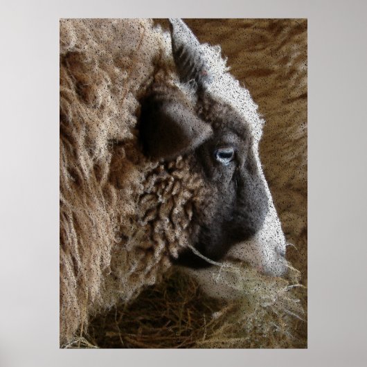 Patchwork Amy Poster (Voorkant)