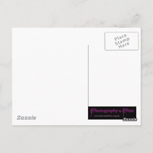 Patchwork Owl Briefkaart (Achterkant)