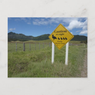 Pateke Sign. Briefkaart 3