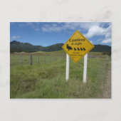 Pateke Sign. Briefkaart 3 (Voorkant)