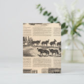 Patentkampioen haring Safes Briefkaart (Staand voorkant)