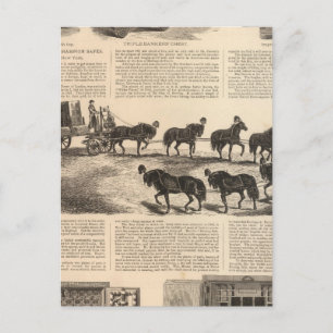 Patentkampioen haring Safes Briefkaart