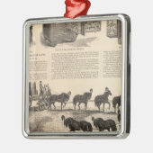 Patentkampioen haring Safes Metalen Ornament (Links)