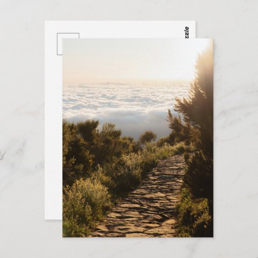 Path above the clouds with golden sunrise, Madeira Briefkaart (Voorkant / Achterkant)