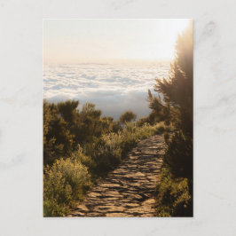 Path above the clouds with golden sunrise, Madeira Briefkaart