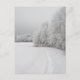 Path in snowy landscape, New Year Holiday Postcard Feestdagenkaart