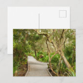 Path, Merritt Island National Wildlife Refuge, FL Briefkaart (Voorkant / Achterkant)