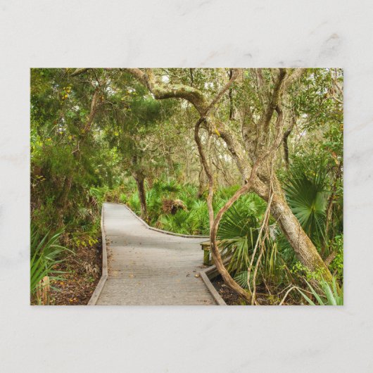Path, Merritt Island National Wildlife Refuge, FL Briefkaart (Voorkant)