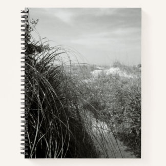 Path Through the Dunes | Rustic Beach Journal Notitieboek