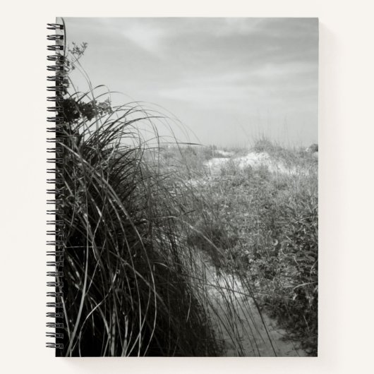 Path Through the Dunes | Rustic Beach Journal Notitieboek (Voorkant)