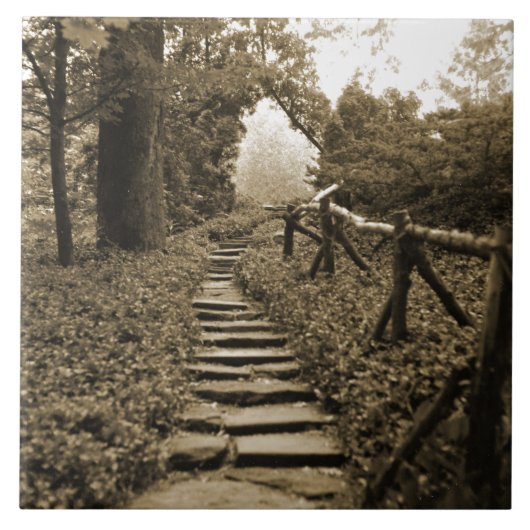 Path To Light Tegeltje (Voorkant)