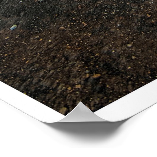 Path Toward the Light Poster (Hoek)