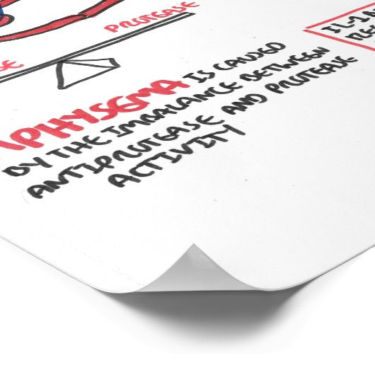 Pathofysiologie van de emfysema poster (Hoek)