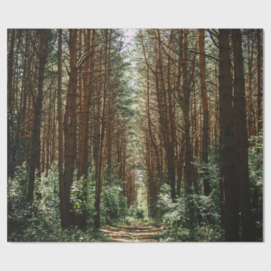 PATHWAY IN BOEST CADEAUPAPIER (Vlak)