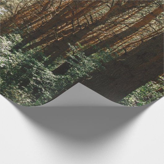 PATHWAY IN BOEST CADEAUPAPIER (Hoek)