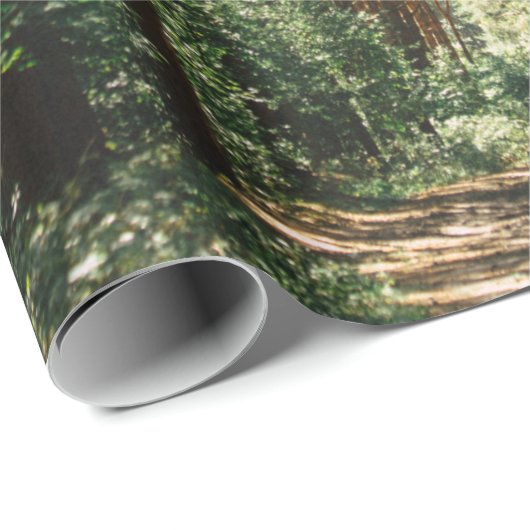 PATHWAY IN BOEST CADEAUPAPIER (Rol Hoek)