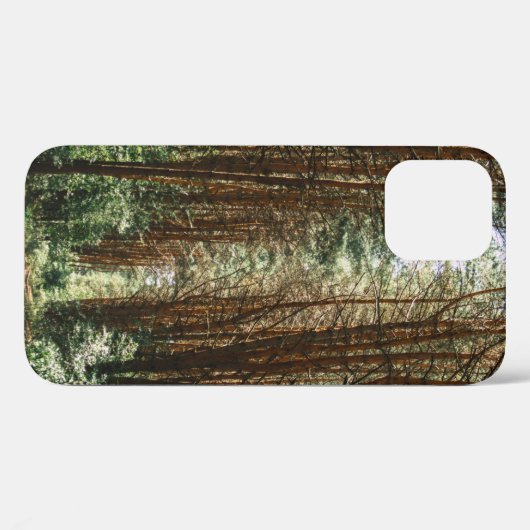 PATHWAY IN BOEST Case-Mate iPhone CASE (Achterkant (horizontaal))