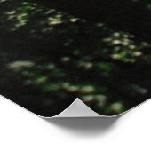 PATHWAY IN BOEST POSTER (Hoek)