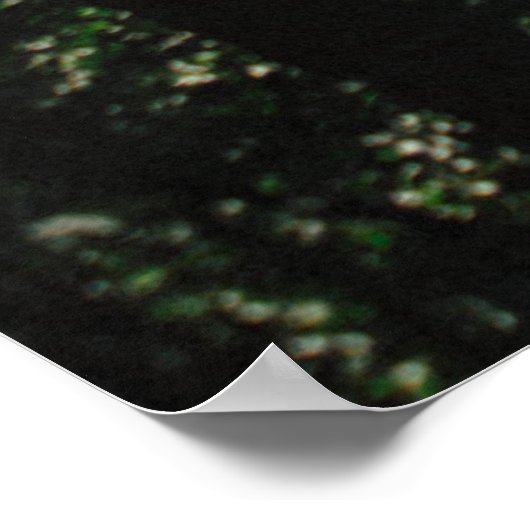 PATHWAY IN BOEST POSTER (Hoek)