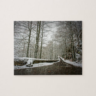 Pathway to Dreamweaver - German Forest - 8x10 - 11 Legpuzzel