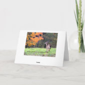 Pathway to Peace *Aanpassen* Alle gelegenheden Kaart (Achterkant)