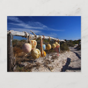 Pathway to the Beach - Dongara - Western Australia Briefkaart