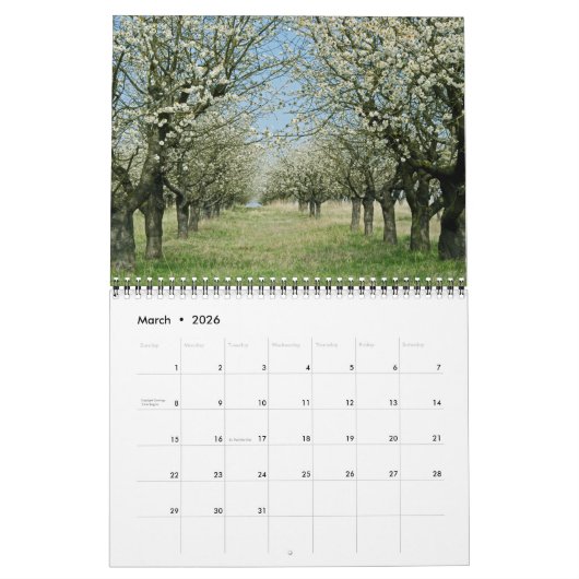 Pathways Calendar Kalender (Mar 2026)