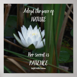 Patience Emerson Inspirerend Quote Lotus Poster