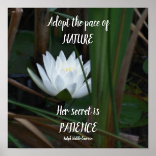 Patience Emerson Inspirerend Quote Lotus Poster